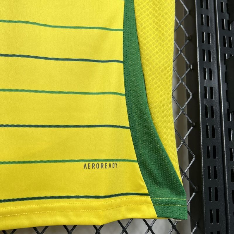 2024-25 Celtic FC Away Football jersey