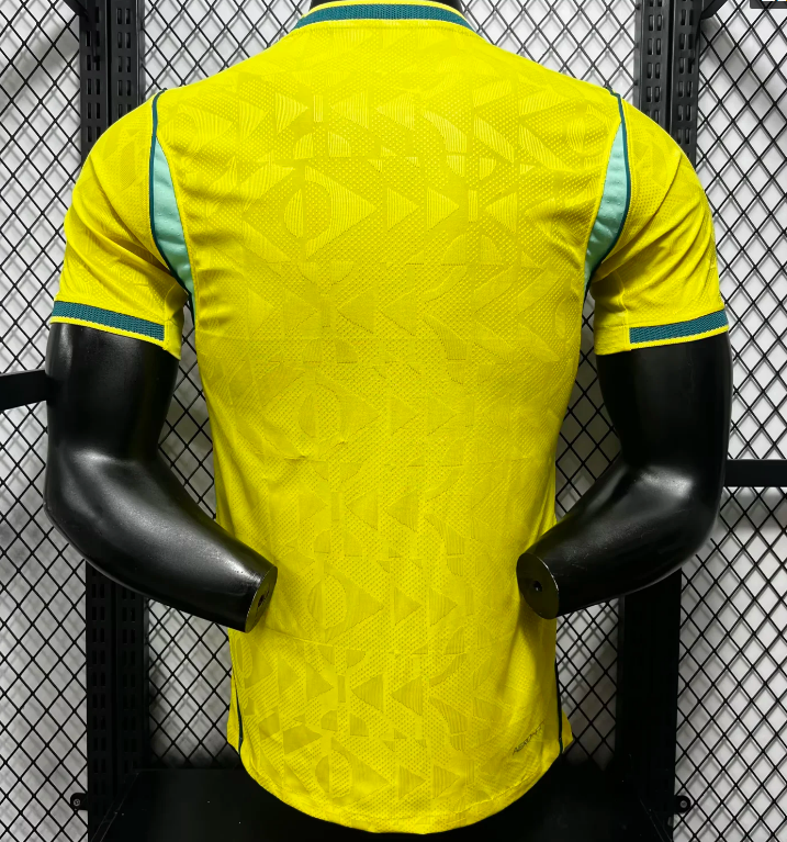 Player version of 2026 Brazil home games