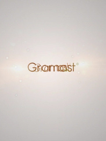 Gromast Toddler Training Urinal GT050 Wholesale Supplier | Bulk Boy Pee Trainer Stock