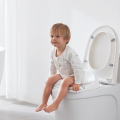 Gromast Potty Training Seat GT052 Wholesale Supplier | Bulk Toddler Toilet Seat Stock