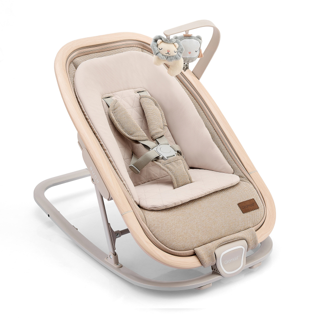 Gromast 2-in-1 Baby Bouncer and Rocker with Travel Bag