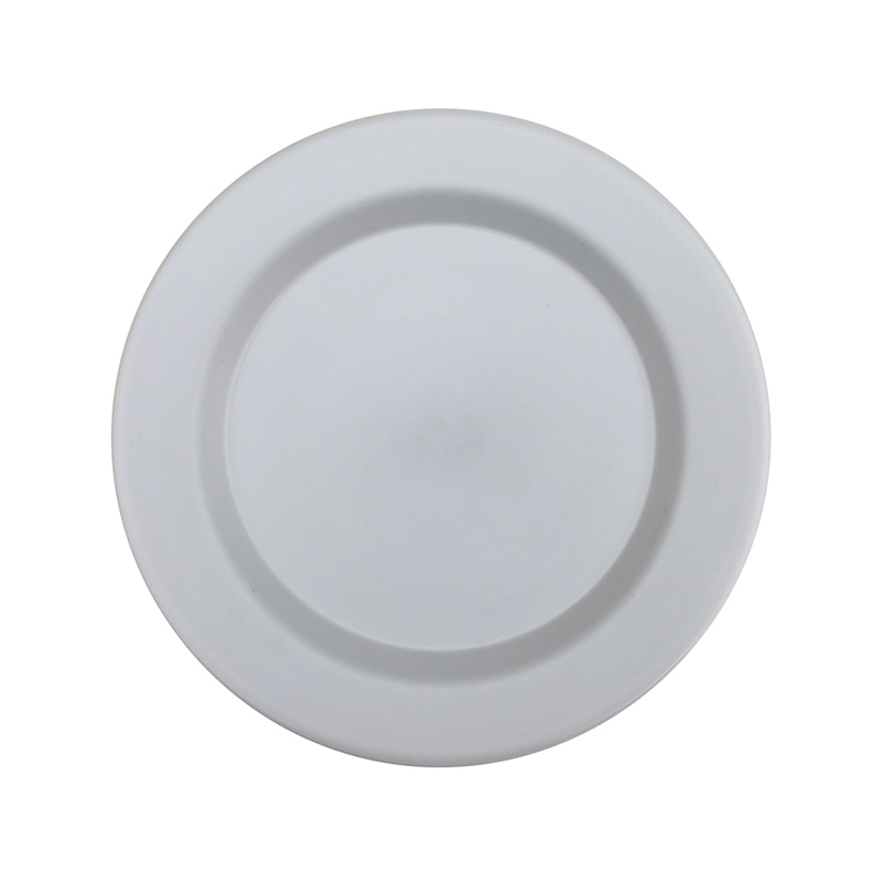 6Inch/8Inch/10Inch Biodegradable PLA Plate,Ningbo YoungHome Houseware Co., Ltd.,Degradable skirt edge plate, partition design+anti overflow edge