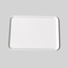 Biodegradable PLA Tray,Ningbo YoungHome Houseware Co., Ltd.,Biodegradable PLA Tray