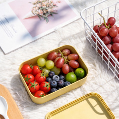 Direct supply from the source factory! Multi colored PLA environmentally friendly lunch box, a cost-effective choice, worry free wholesale customization,Ningbo YoungHome Houseware Co., Ltd.,Multi colored PLA lunch boxes, worry free wholesale customization