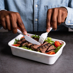 Biodegradable PLA Adult knife/fork/spoon,Ningbo YoungHome Houseware Co., Ltd.,New favorite for outdoor picnics and family parties