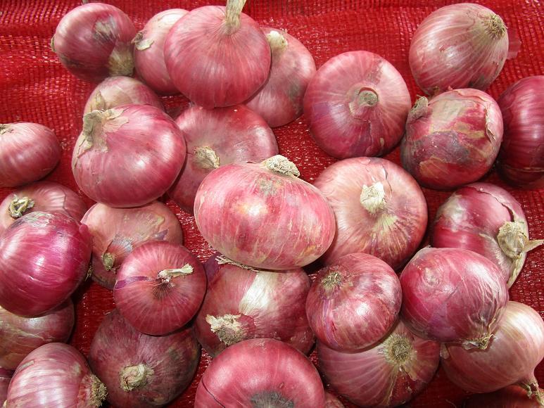 Fresh Red Onion