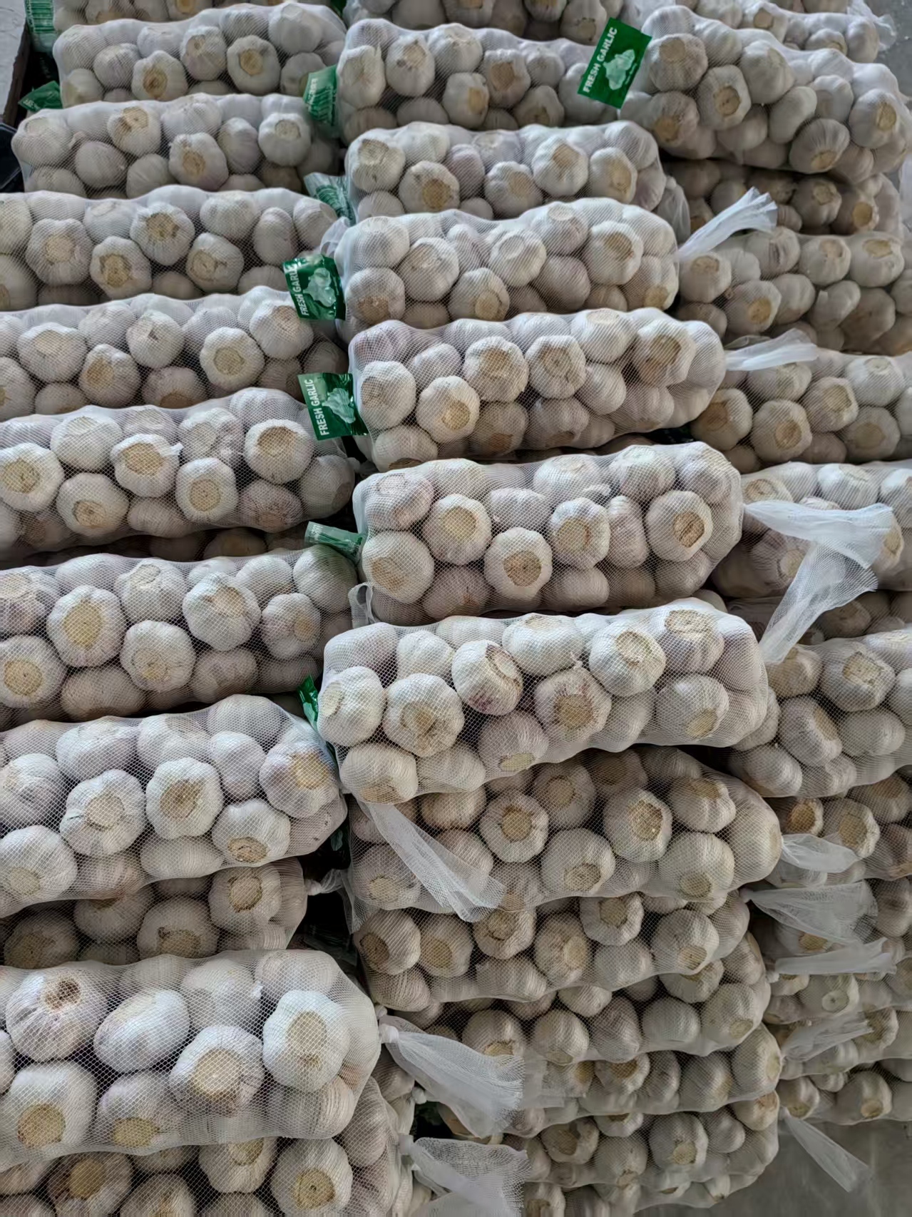 ثوم أبيض عادي طازج
