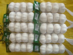 الثوم الأبيض النقي