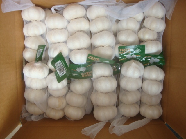 الثوم الأبيض النقي