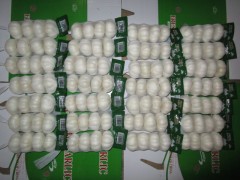 الثوم الأبيض النقي