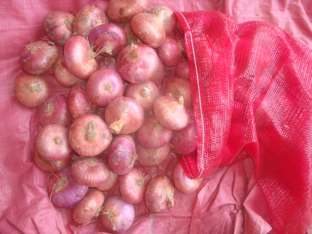 Fresh Red Onion