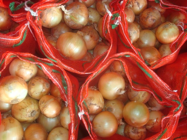 Fresh Yellow Onion