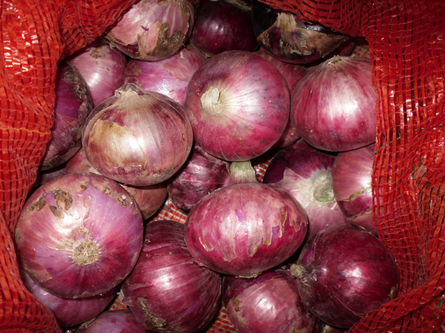 Fresh Red Onion