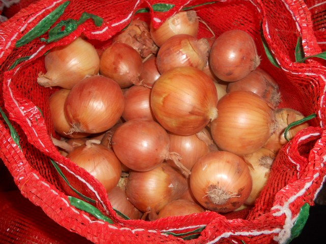 Cebolla amarilla fresca