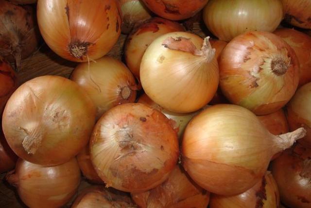 Cebolla amarilla fresca