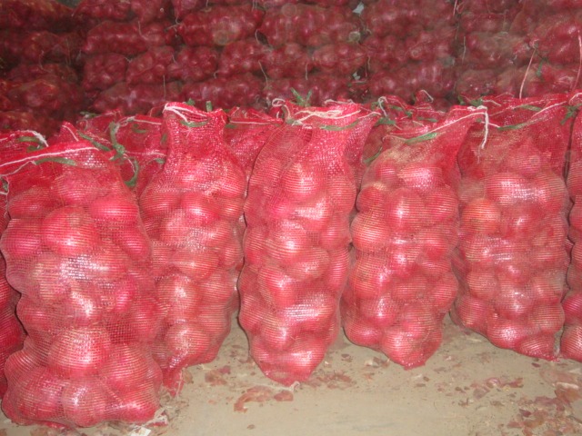 Fresh Red Onion