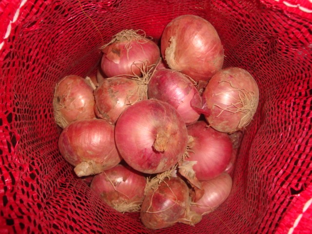 Fresh Red Onion