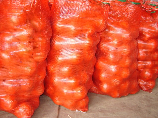 Fresh Yellow Onion