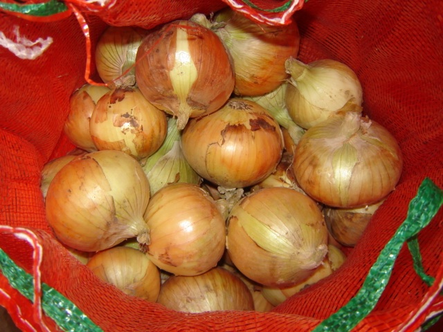 Fresh Yellow Onion