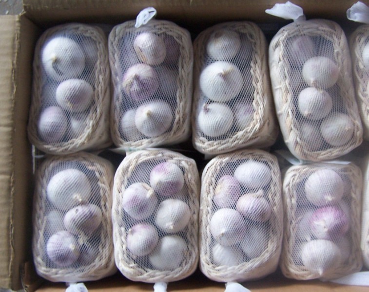 Single Clove Garlic