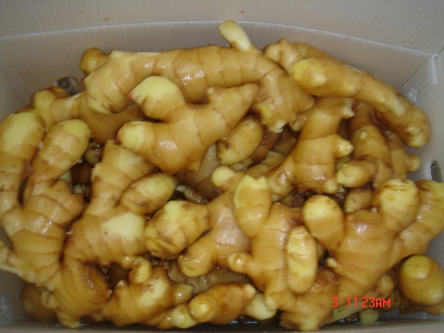 الزنجبيل الطازج