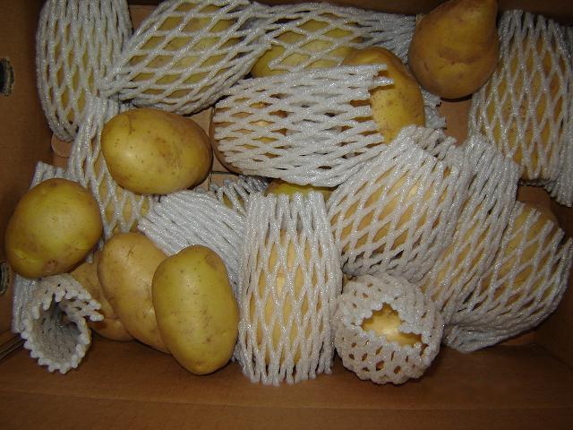 بطاطس طازجة