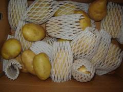 Pomme de terre fraîche