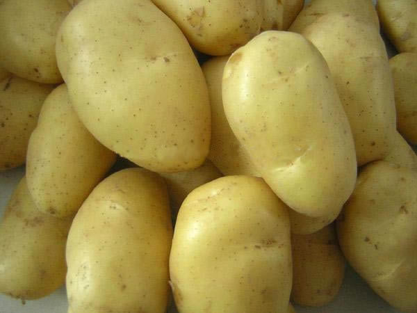 Fresh potato