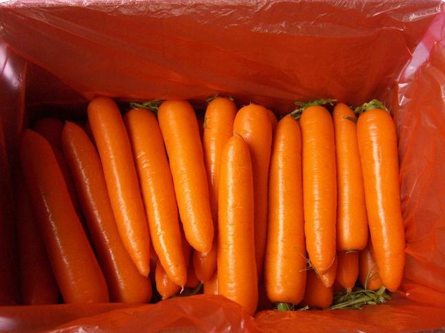 Fresh Carrot