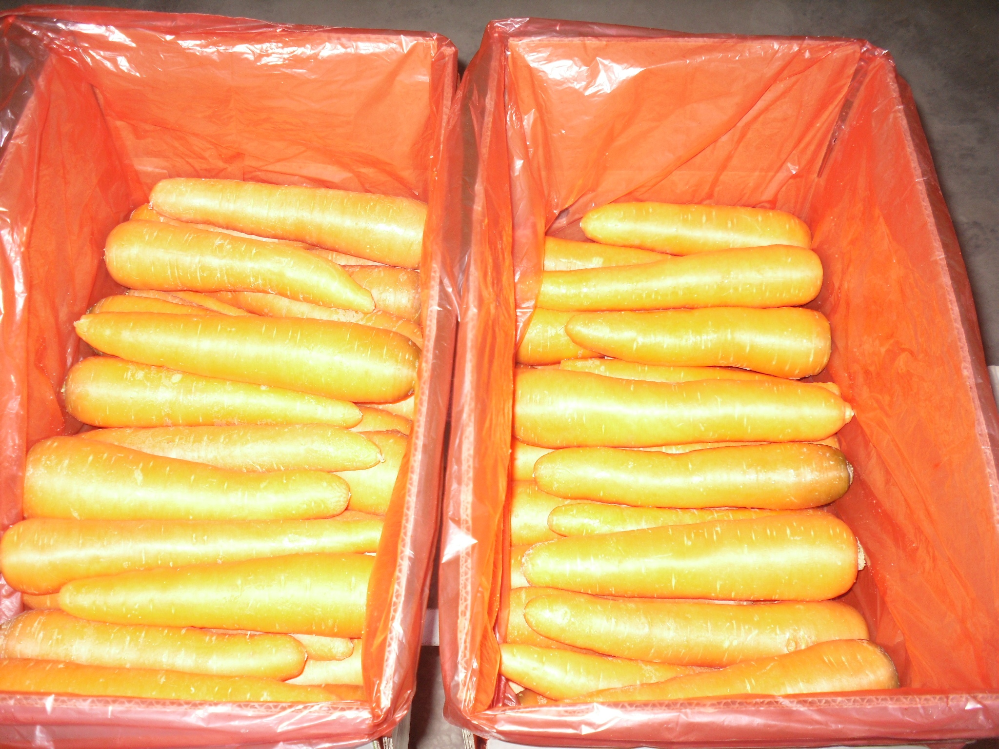 Fresh Carrot