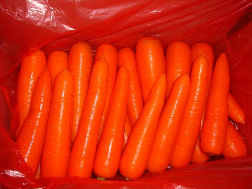 Fresh Carrot