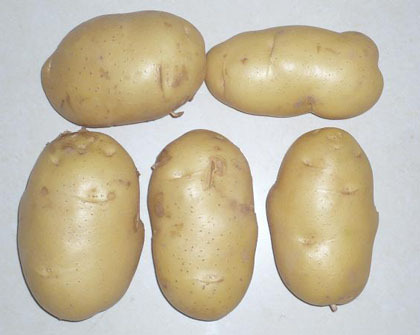 Fresh potato