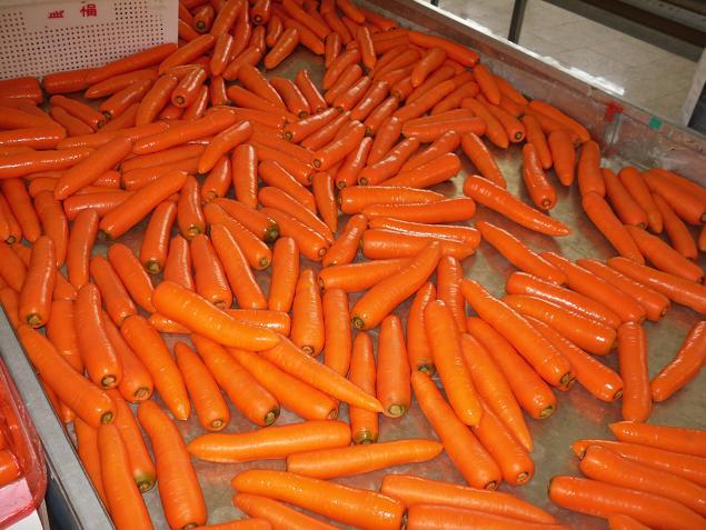 Fresh Carrot