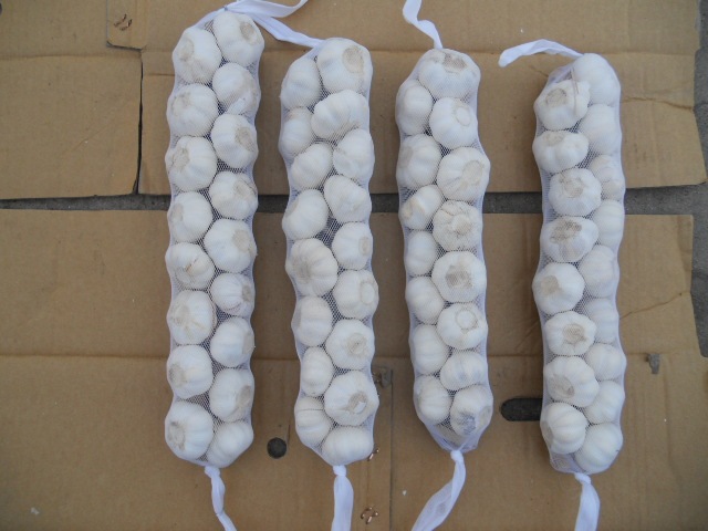 ضفائر الثوم الطازج