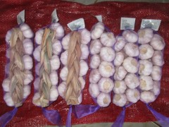 Trenzas de ajo fresco