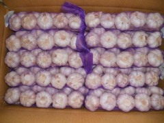 Trenzas de ajo fresco