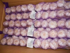 Trenzas de ajo fresco