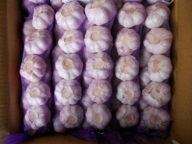 Tresses à l'ail frais