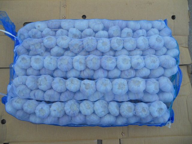 Tresses à l'ail frais