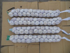 Tresses à l'ail frais