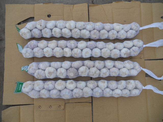 Tresses à l'ail frais