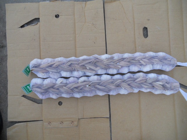 Fresh Garlic Braids