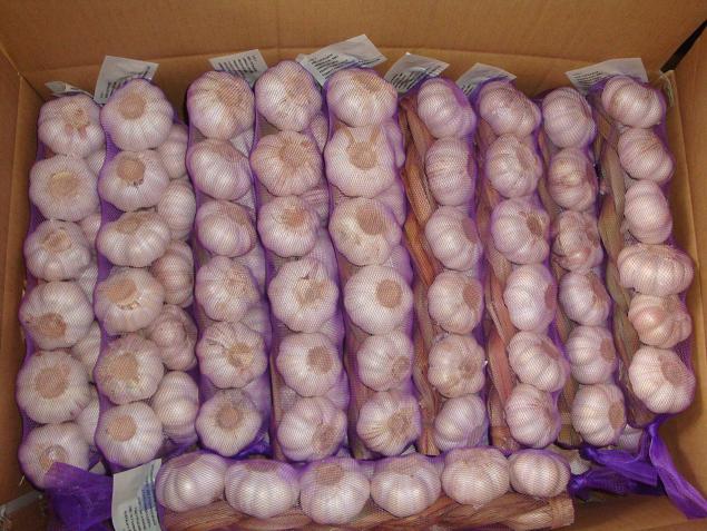 Fresh Garlic Braids