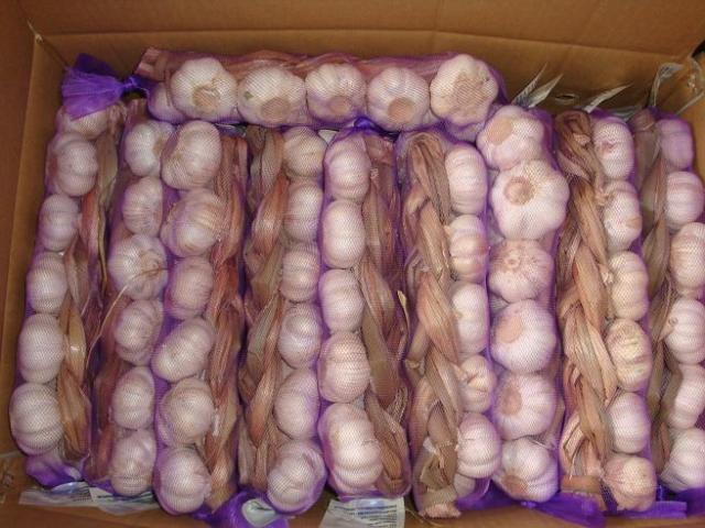 ضفائر الثوم الطازج