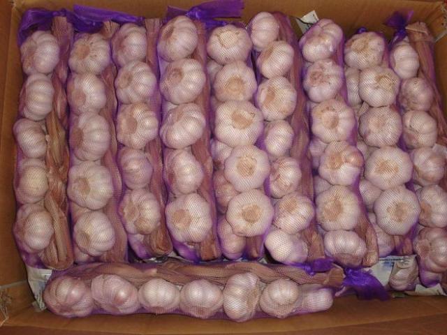 ضفائر الثوم الطازج