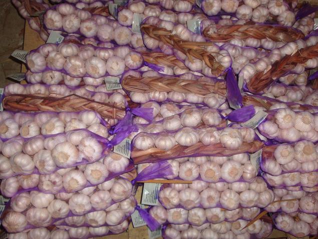 ضفائر الثوم الطازج