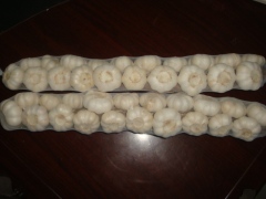 ضفائر الثوم الطازج