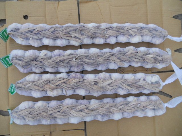 Fresh Garlic Braids