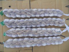 ضفائر الثوم الطازج