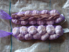 ضفائر الثوم الطازج